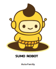 Sumo Robot