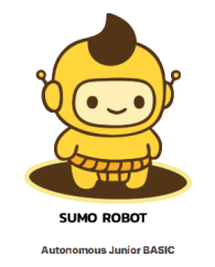 Sumo Robot