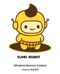 Sumo Robot